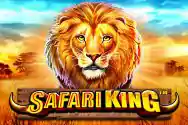 Safari King SAPPORO88